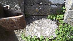 acastle 143800.jpg